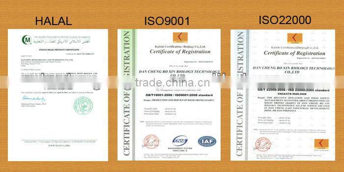 Concentrated Fruit Juice Pineapple Juice