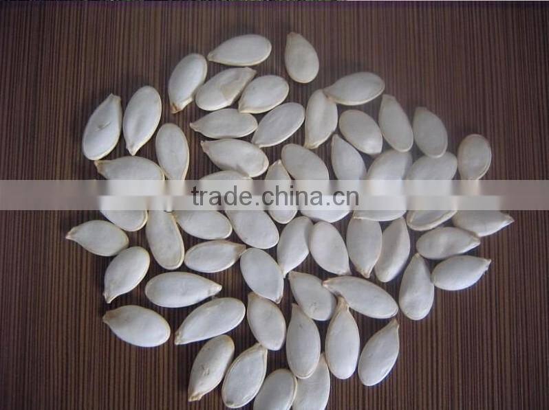 Online Selling Website Snow White Pumpkin Seeds From Europe