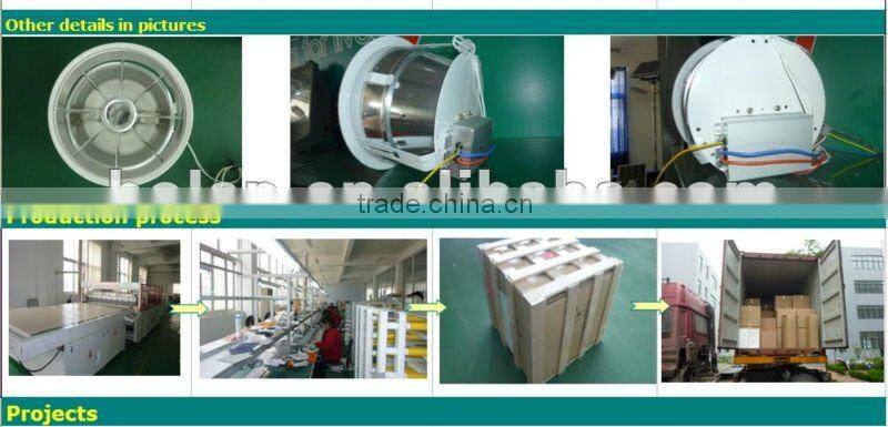induction lamp downlight fitting