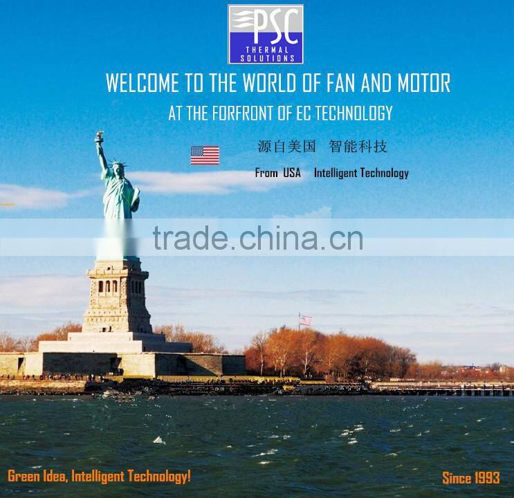 PSC smart two wheels electric balance scooter motor dc brushless gear hub motor