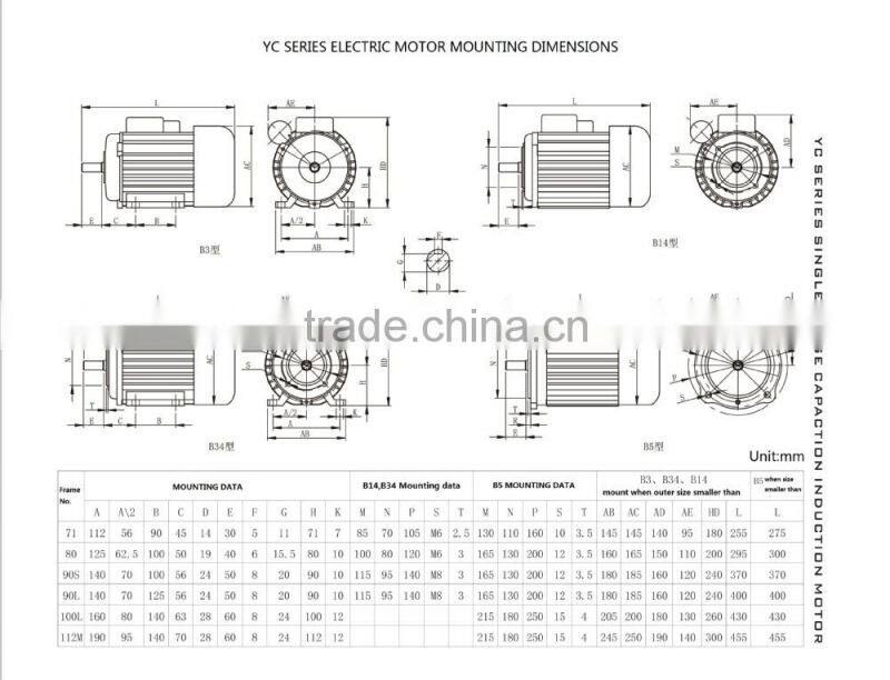 YC(CO2) series single-phase electric motor