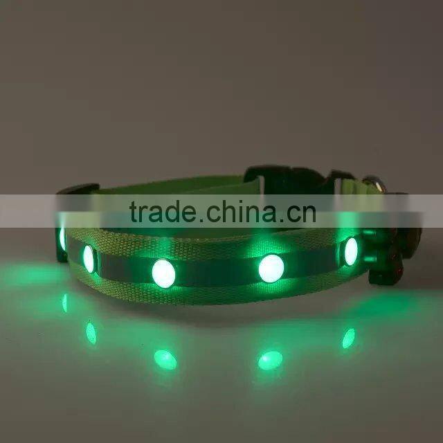 light up you and your pet dog evening dog collar with led lights