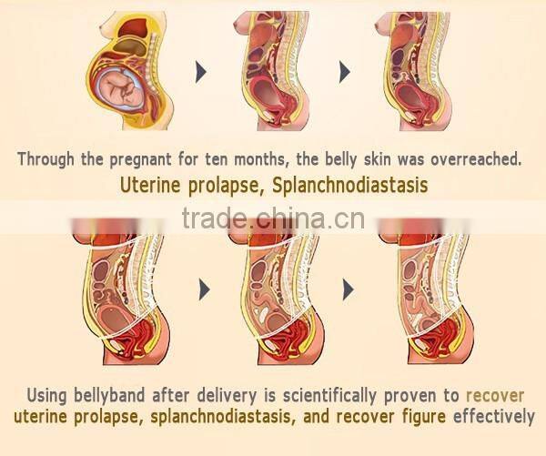 3 in 1 Set Breathable Postpartum pelvic support body building belt after pregnancy