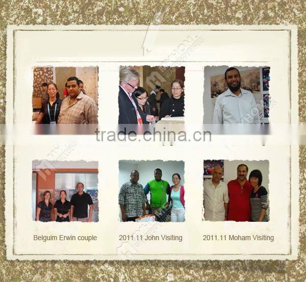 (821105) Luxury Paper Wallpaper in brown color