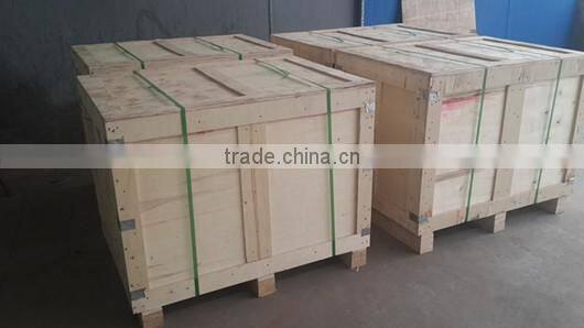 hot sale blister white plastic fruit tray