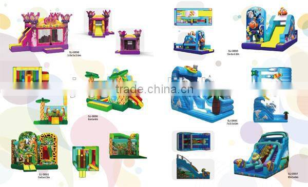 Sunjoy new design Water park walking inflatable water polo ball