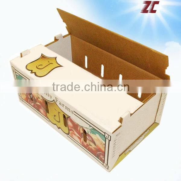 Wholesale Strong Fruit Carton Box for Apple ,Apple Fruit Packaging Box, Carton Box for Fruits