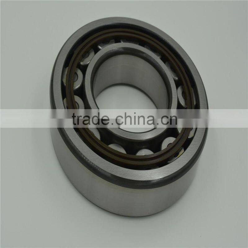 17 years experience manufacturer, All Kinds of Cylindrical roller bearing 248/900 CAMA/W20