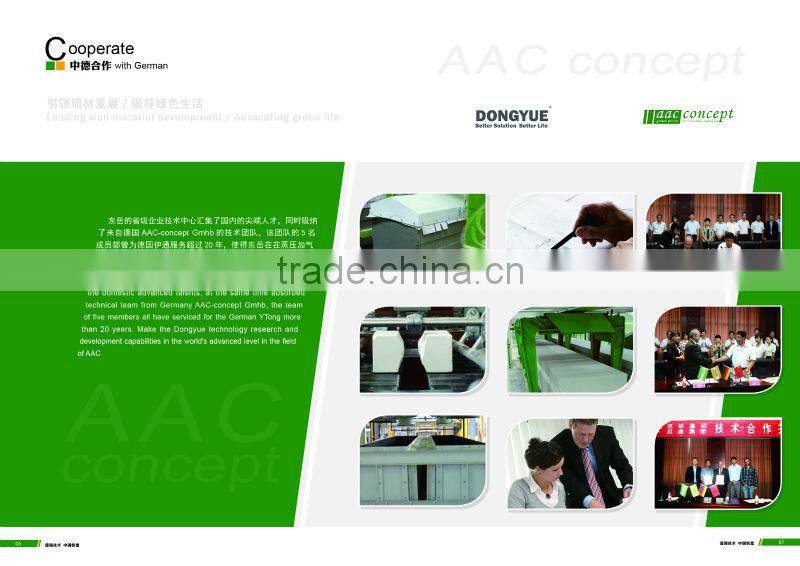 For new building construction materials Aerated Concrete Block