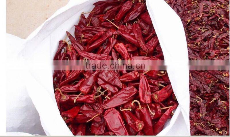 yidu chilli