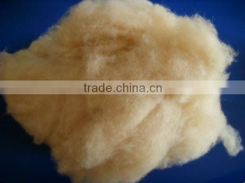 100% WHITE COMBED SCOURED SHEEP CASHMERE 19.5-22.5MIC, 30-40MM, BEST QUALITY