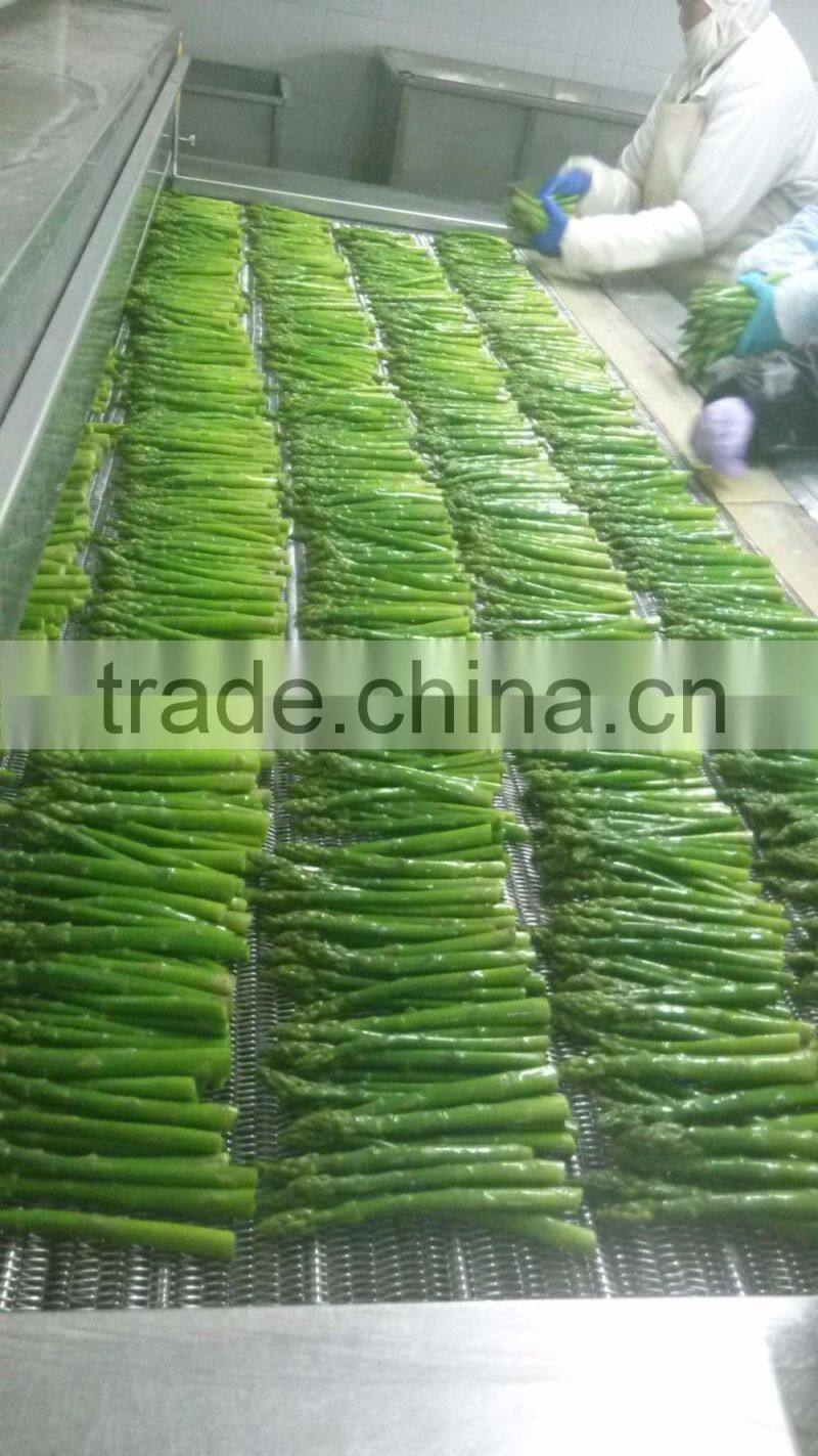 New crop IQF Frozen green asparagus-D:6-8mm L:11cm