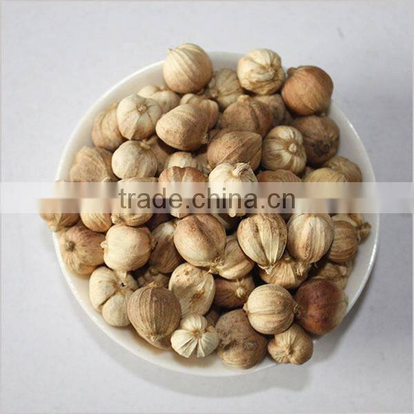white cardamom seeds