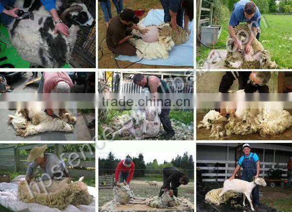 Hot Sales 350W Sheep Clipper/Sheep Shear Machine/Wool Cutting Machine