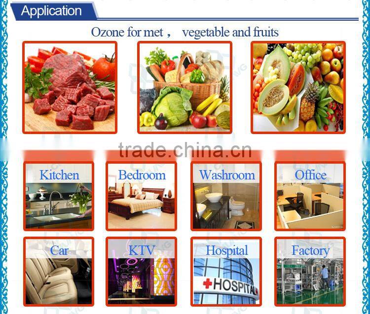 CE approval 0.5PPM ozone generator air freshener for hospital / ozone air purifier