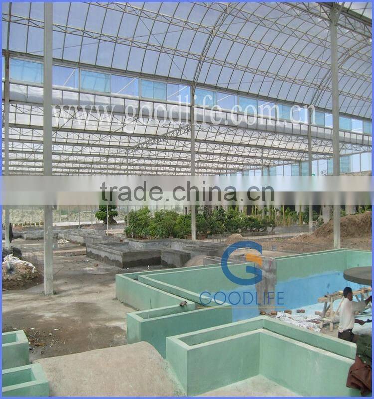 modern greenhouse for agriculture