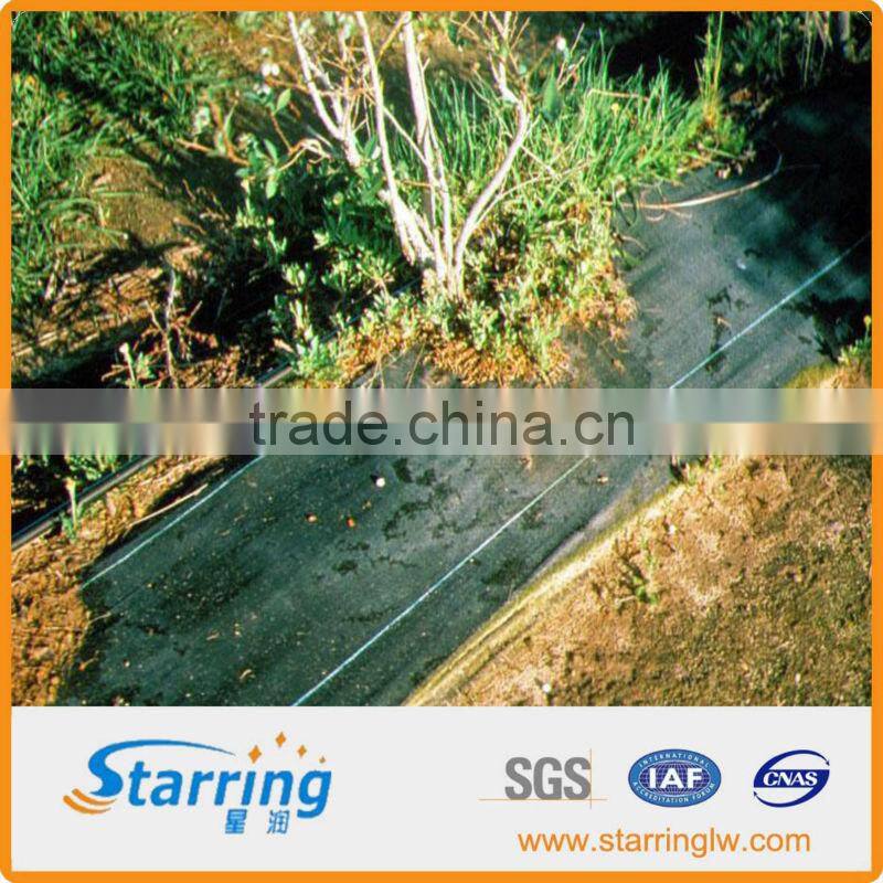 UV PE 100G Weed control fabric