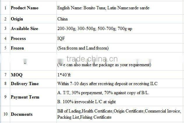 300-500g Frozen bonito tuna fish