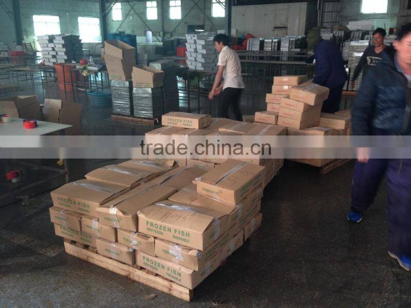 land frozen horse mackerel BQF 6-8pcs/kg