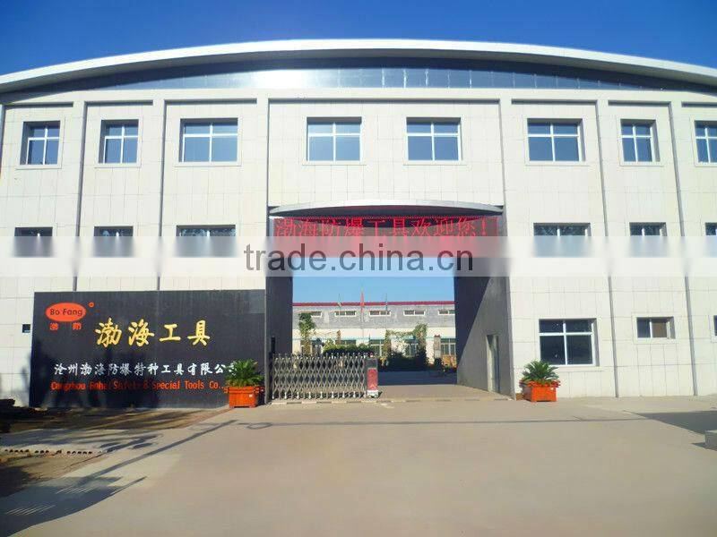 Combination Wrench (11pcs)