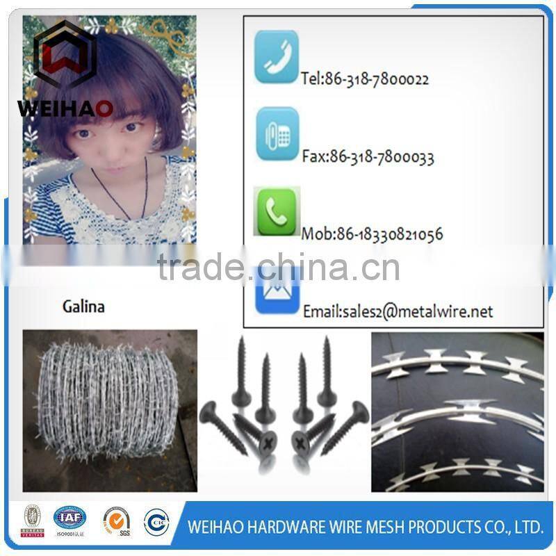 top credit supplier galvanized rozar barbed wire
