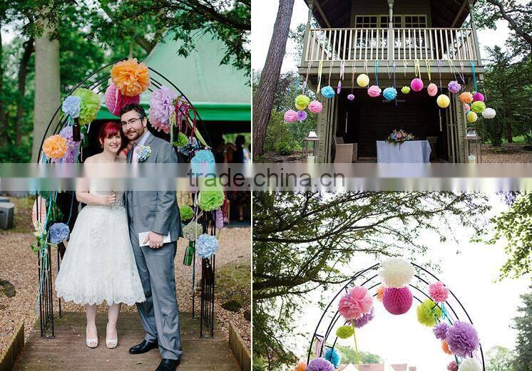 Party Decoration 10 Inch Paper Craft Honeycomb Ball wholesale