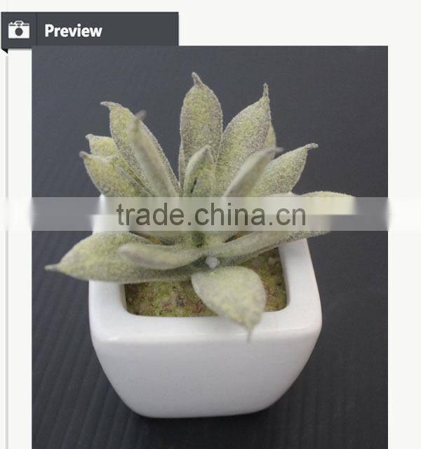 Cute artifiical mini succulent with ceramic pot