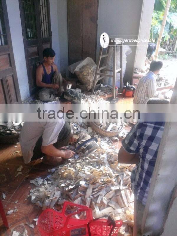 Vietnam Agarwood Chips/ Eaglewood or Oud Chips - Stable Supply With Large & Regular Quantity