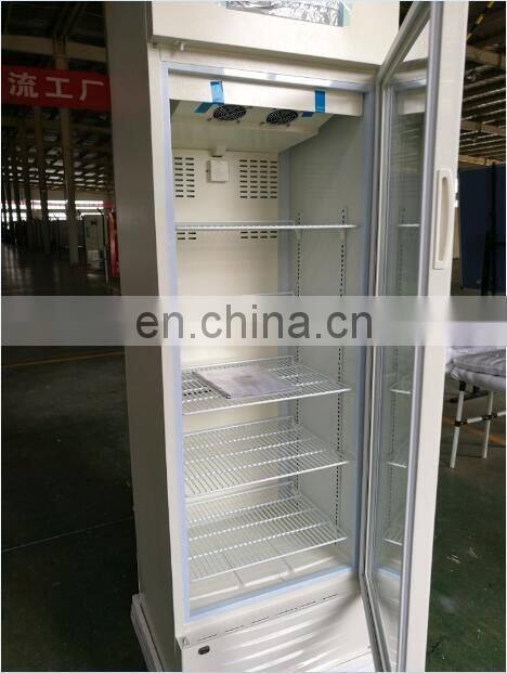 glass door deep Vertical freezer with locking door