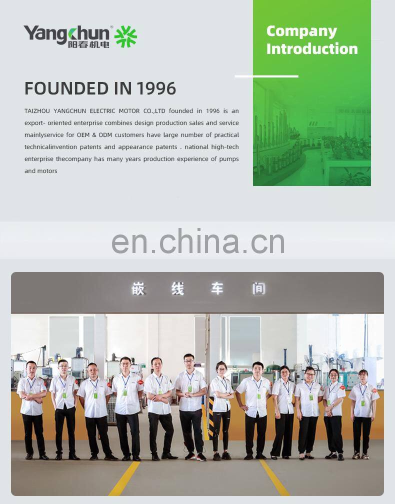 Powerful AC 220V 50Hz 2800rpm Single Phase Electric Motors