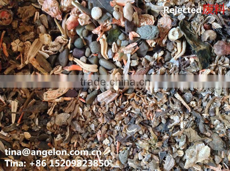 Dry Shrimp Color Separating Machines Shrimp Pieces Sorting Machinary Shrimp Pieces Separting Machine