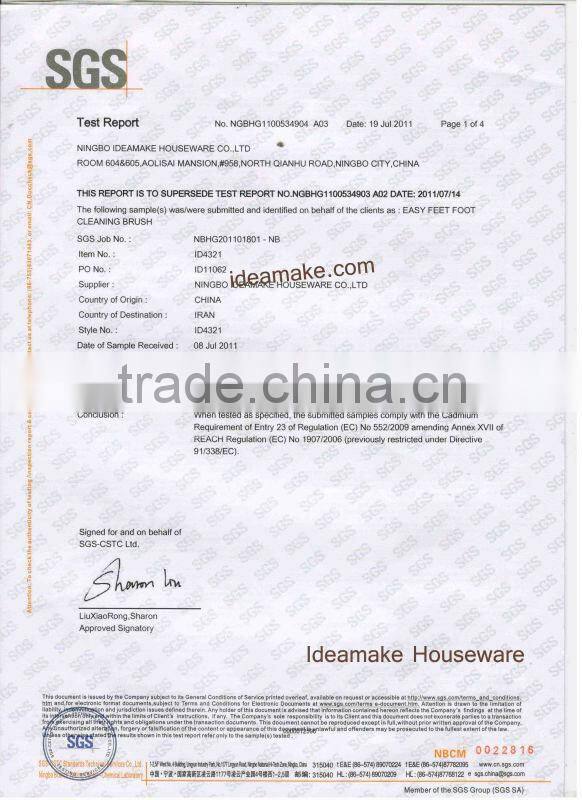 Portable Steam Iron-China Factory Direct