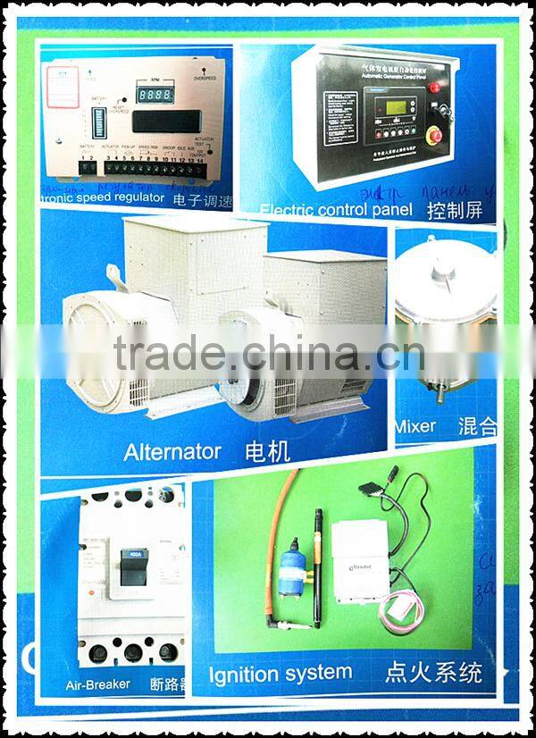 Gas generator 10-1000kw CE approved by Chinese manufacture