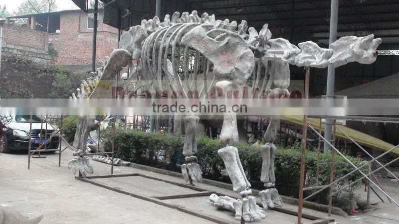2013 Newest Best Quality Dinosaur Skeleton Model