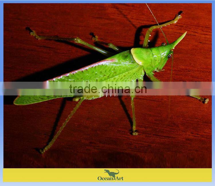 Outdoor playground simulation insect exhibit