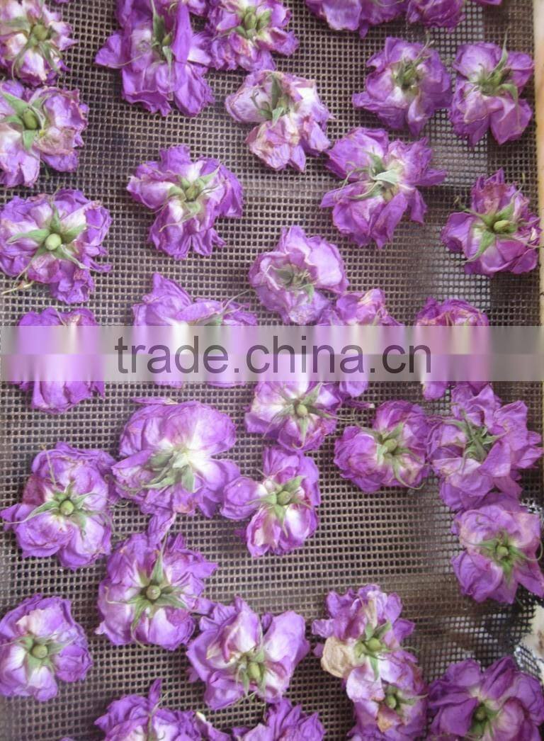 Batch type Crisp JackFruit Microwave Vacuum Drying&Popped Machines