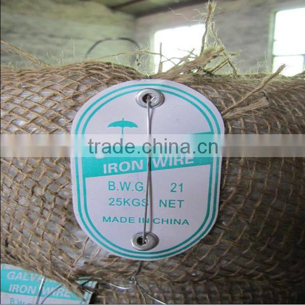 hot sale Electro galvanized iron wire bwg22