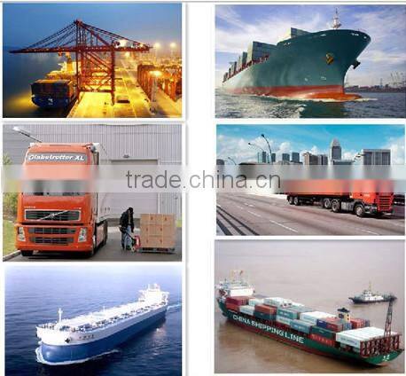 GPS & GLONASS Survey GNSS Receiver V60 RTK System