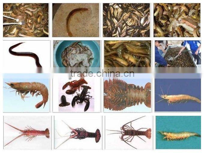 Top quality hot sale fish protein concentrate making machine