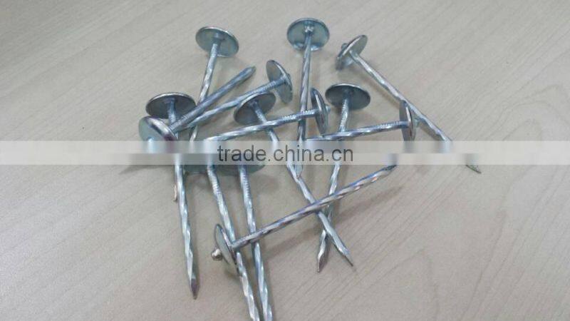 Galvanized big head nails