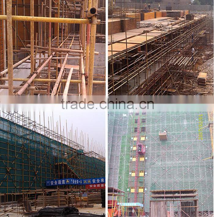Factory Direct Sale Price Galvanized Scaffolding Tube