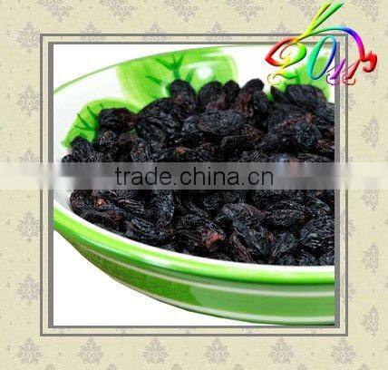 dried black raisin with high quality and hot sale