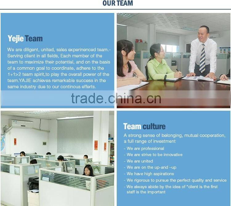 Auto Liquid Coating Spray Clear Coat Paint