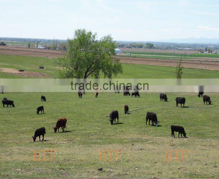 step in pigtail post used in electric fence wire and tape