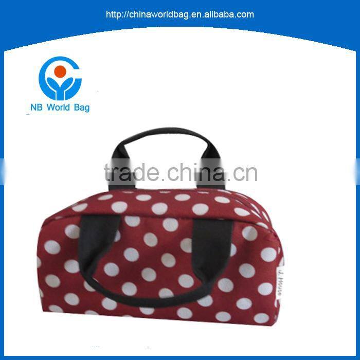 LGY high-quality control Freezable with zip closure insulated bag