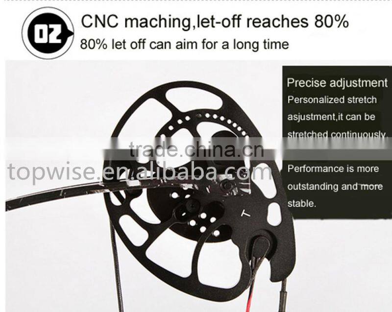 2016 New Design Compound Bow for Hunting and Shooting