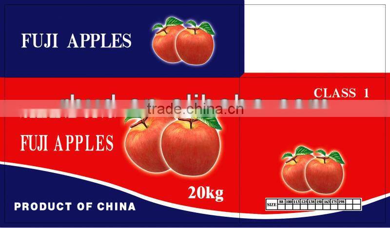 Yantai Fresh fuji apple best price exporter in china