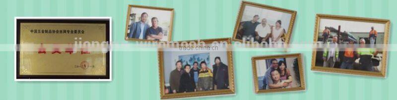 Hot Dipped Galvanized Welded Wire Mesh(ap manufacture)