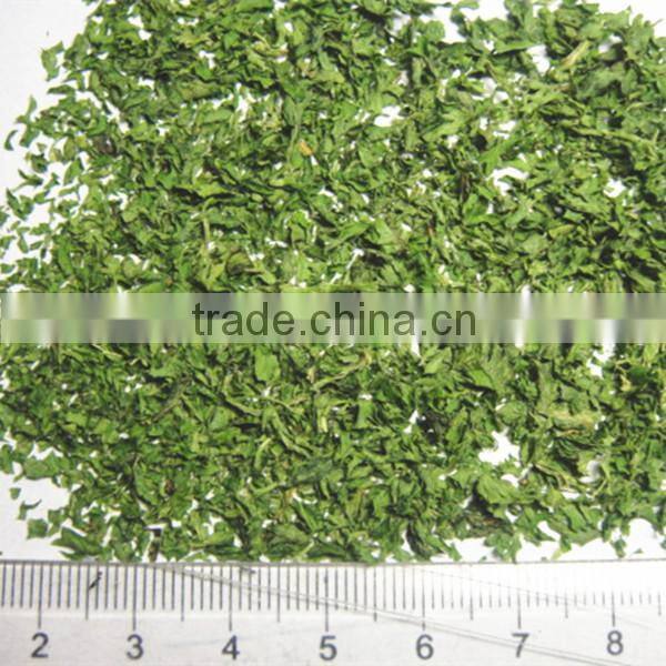 2016 New Crop Dehydrated Parsley Leaf