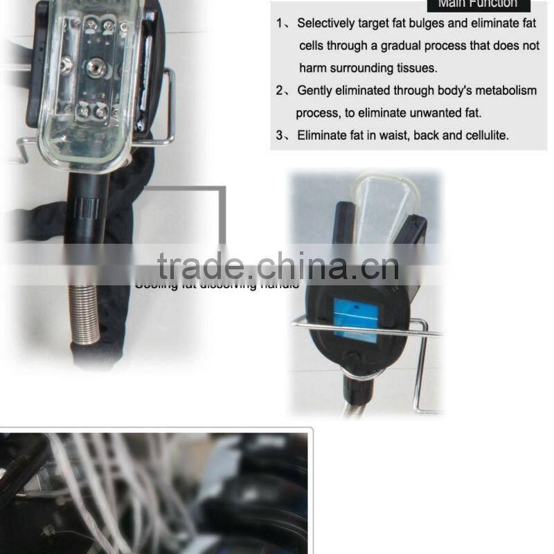 AYJ-835C ayplus fat freeze slimming machine